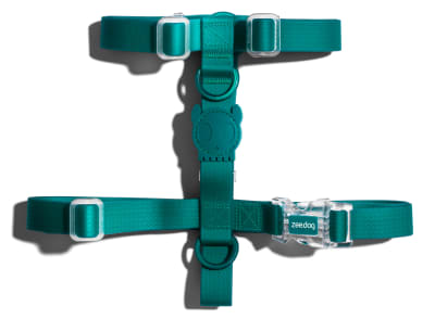 zeedog neopro amazona arnes H