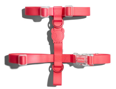 zeedog neopro bubble arnes H