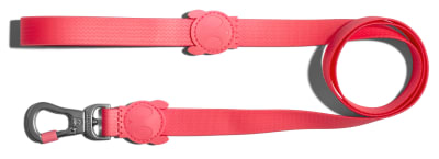 zeedog neopro bubble trailla