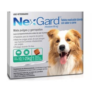 nexgard 10-25kg