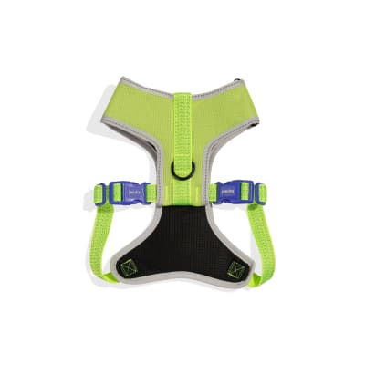 zeedog nox lumen arnes mesh