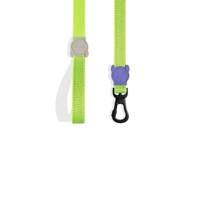 zeedog nox lumen trailla