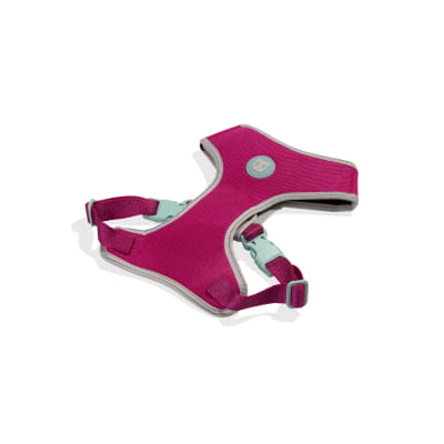 zeedog nox sidus arnes mesh