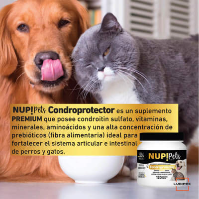 nup pets condroprotector
