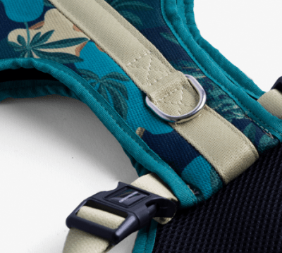 cachorre arnes flow samauma