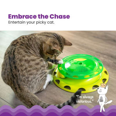 catstages circuito cazador c/catnip