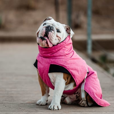 petlounge parka rosa