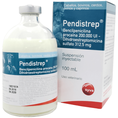 Pendistrep