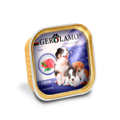 gerolamo pate cachorro