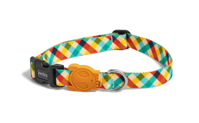 zeedog phantom collar