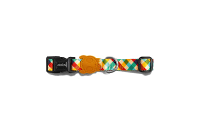 zeedog phantom collar