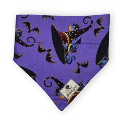 ns bandana-collar halloween