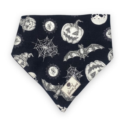ns bandana-collar halloween