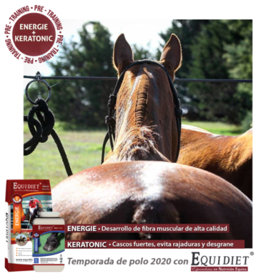equidiet energie