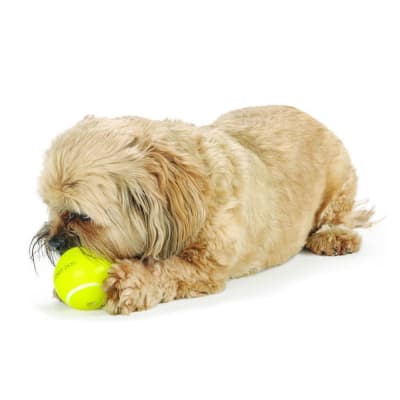 orbee tuff pelota de tenis