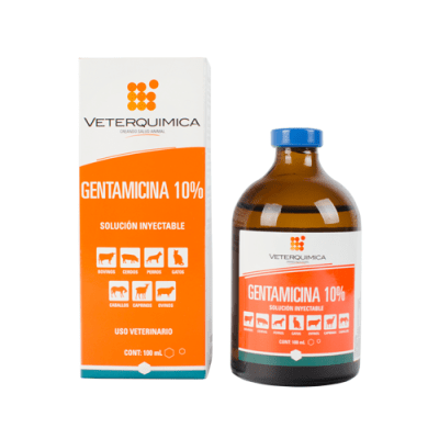 gentamicina 10%