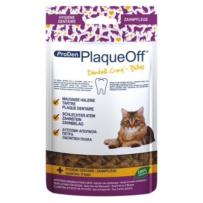 PlaqueOff bites gato