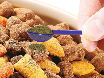 PlaqueOff polvo gato
