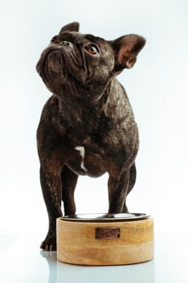 tall tails plato madera/acero