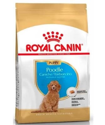royal canin poodle junior