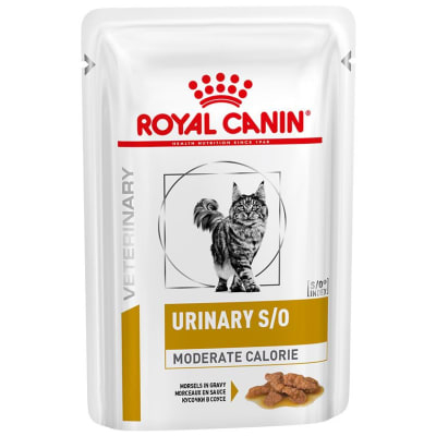 royal canin so urinary gato