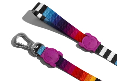 zeedog prisma trailla
