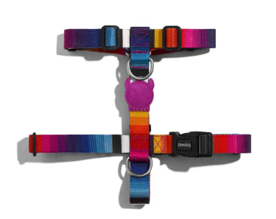 zeedog prisma arnes H