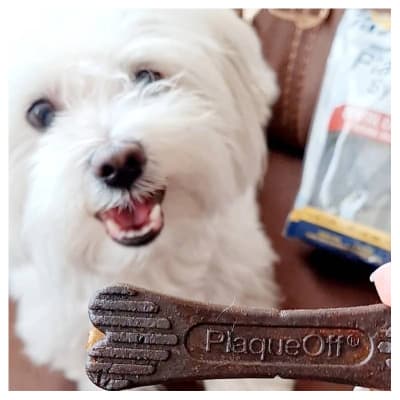 PlaqueOff dental bones bacon