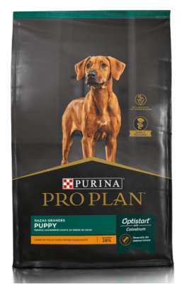 proplan puppy large breed
