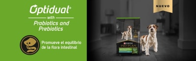 proplan sensitive stomach small breed