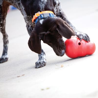 kong wobbler