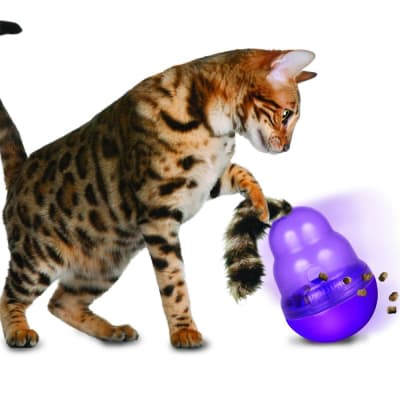 kong wobbler cats