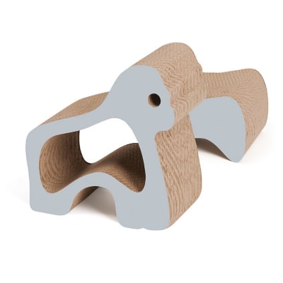 cat it rasguñador zoo gorila