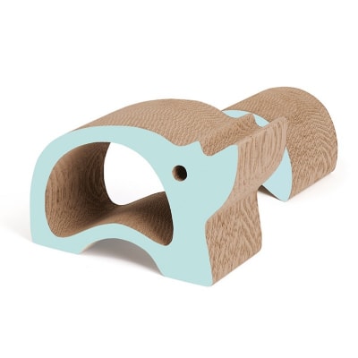 cat it rasguñador zoo rinoceronte