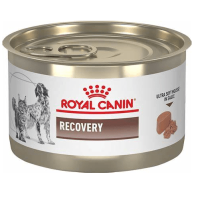 royal canin recovery 145gr
