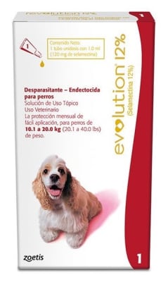 revolution 10,1-20kg