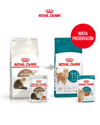 royal canin gato 11+