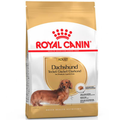 royal canin dachshund adulto