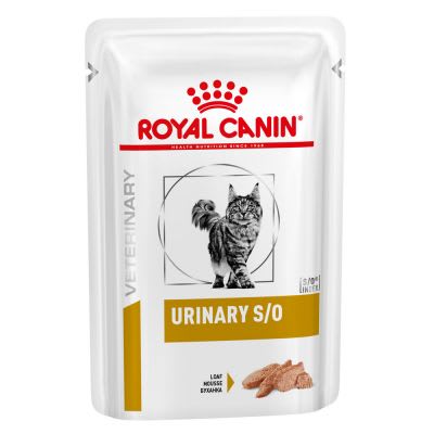 royal canin so urinary pouch gato