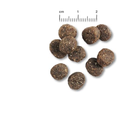 belcando finest GF salmon