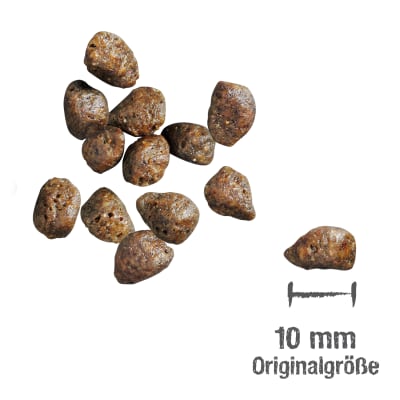 leonardo fresh ternera