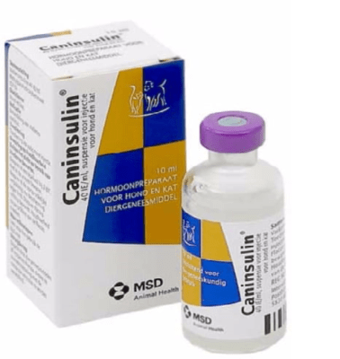 caninsulin