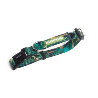 cachorre collar sumauma