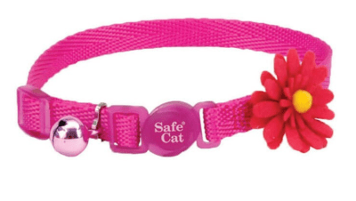 coastal collar fashion