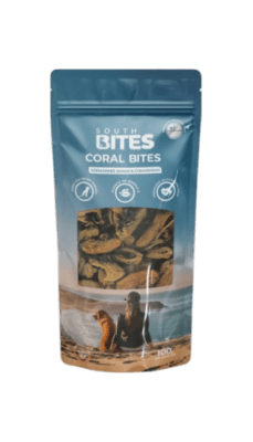 south bites choritos