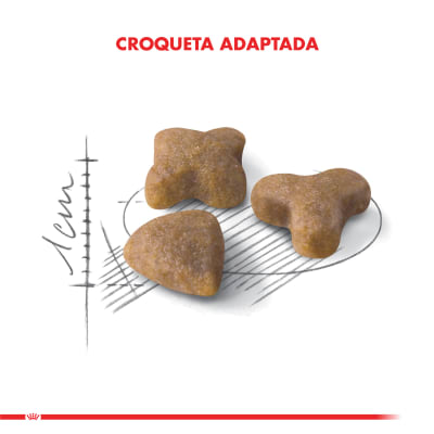 royal canin sensible