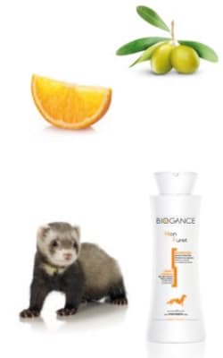 biogance shampoo huron