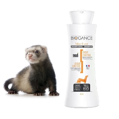 biogance shampoo huron