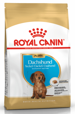 royal canin dachshund puppy
