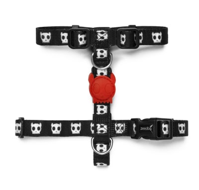 zeedog skull arnes H